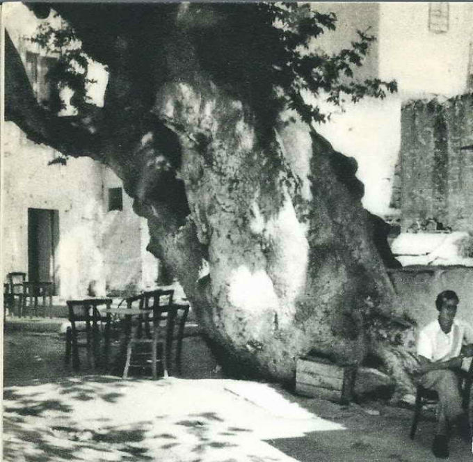 Κρήτη 1950