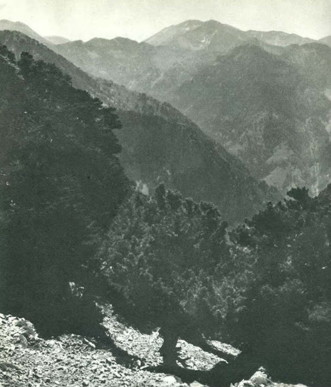 Κρήτη 1950